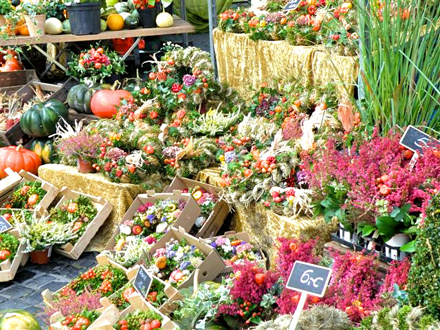 Hildesheimer Bauernmarkt, 27.09.20
